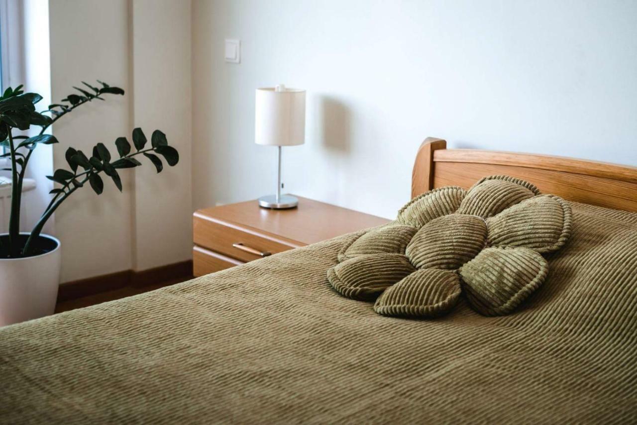 New Very Close To The Centre Apartment Vilnius